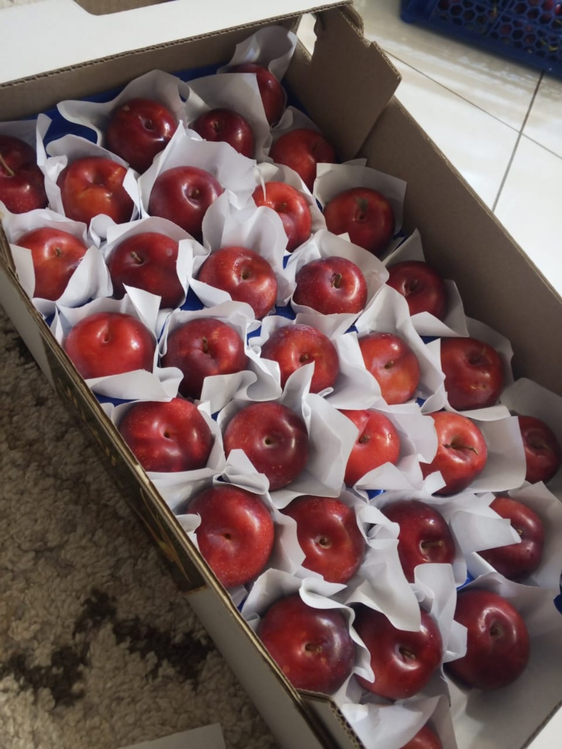 Packed Algerian apples