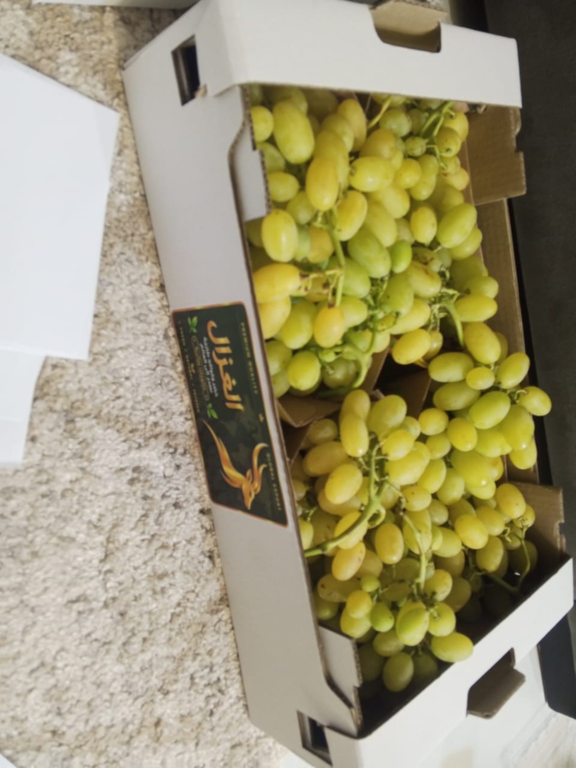 Algerian table grapes