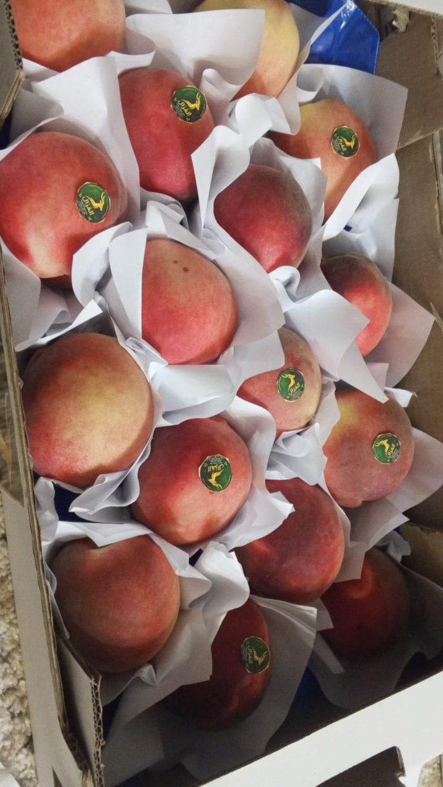 Peaches & nectarines
